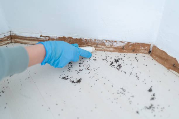 Best Pest Control for Multi-Family Homes  in Sour Lake, TX